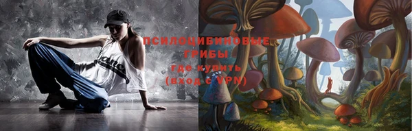 spice Горнозаводск
