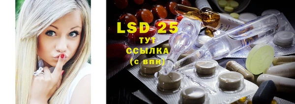 spice Горнозаводск
