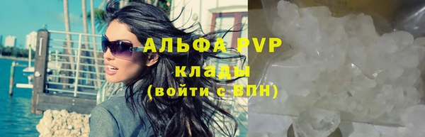 сатива Бронницы