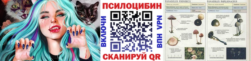 Галлюциногенные грибы Magic Shrooms  мега ссылка  Татарск  цена  